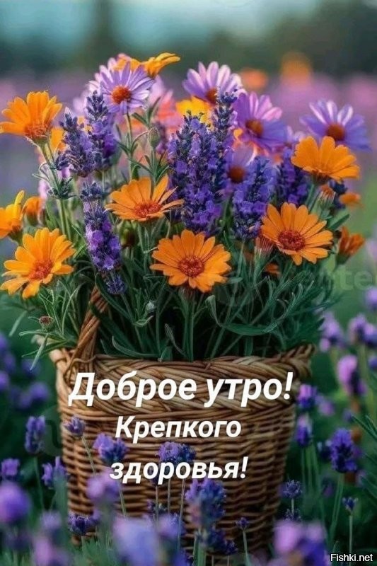 С добрым утром