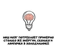 А у меня в холодильнике светодиод.