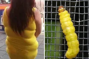 Не ищите здесь смысл. Здесь в основном маразм