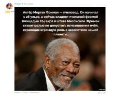 Ты чьих будешь, аффтар?