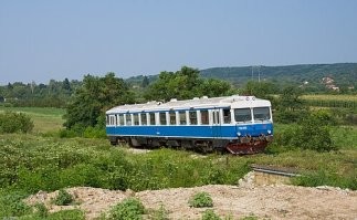 А это точно вперед эволюция? Или назад?