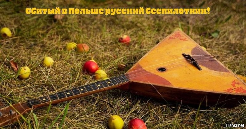 Какие ещё вам нужны доказательства?