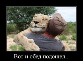 &nbsp;Намешалось&nbsp;