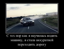 Депутат из Северной Осетии назвал женщин-водителей «тёлками с опилками в голове»