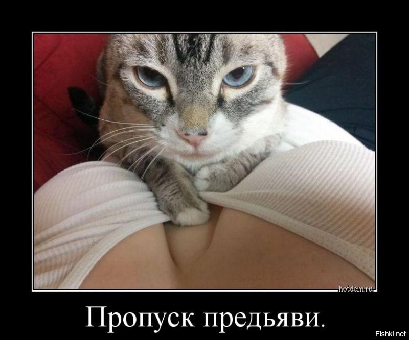 Не ищите здесь смысл. Здесь в основном маразм