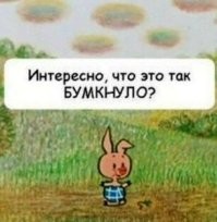 Найден самый неудачливый фотограф в мире