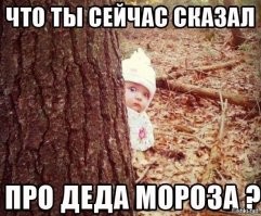 Манул Тимофей начал зажировку к зиме