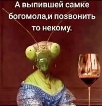 Оотеки богомолов:  странные коробочки появляются на деревьях в конце лета