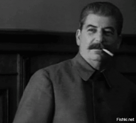 Тем временем страна воюет