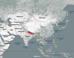 да всем насрать, от них ни какого толку всё равно...