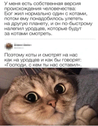 Не ищите здесь смысл. Здесь в основном маразм