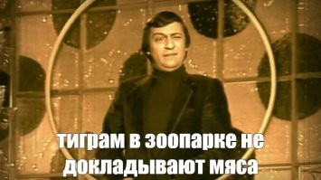 Манул Тимофей начал зажировку к зиме