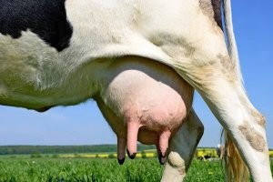 Прогулка по Стамбулу