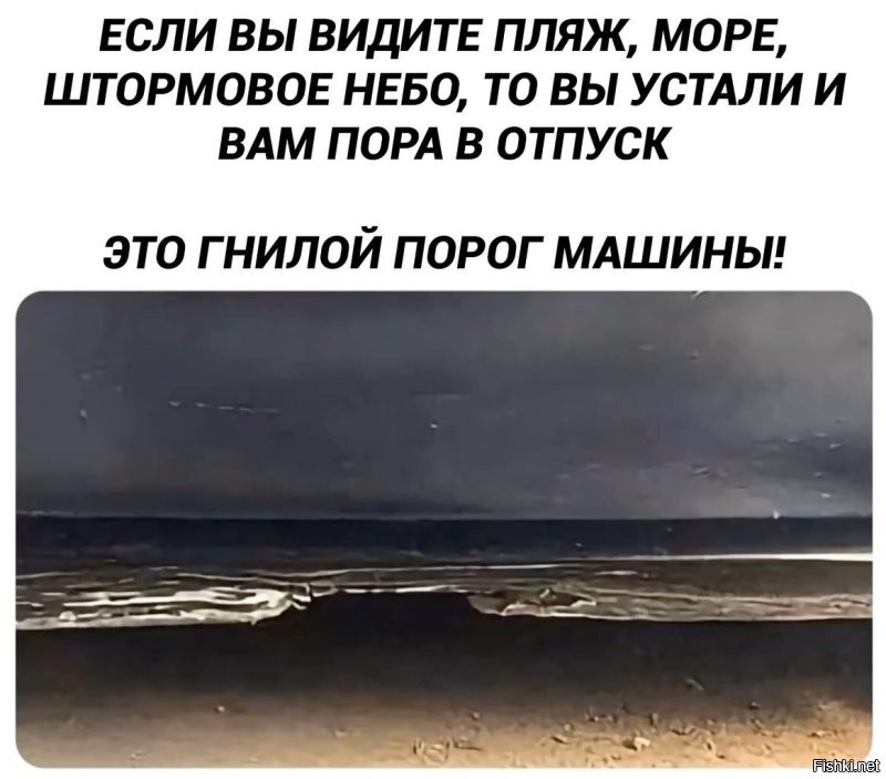 Нейродичь. Не верь глазам своим