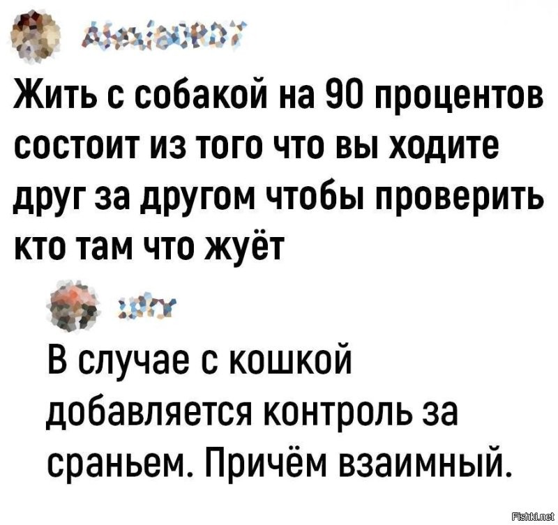 Скрины из соцсетей
