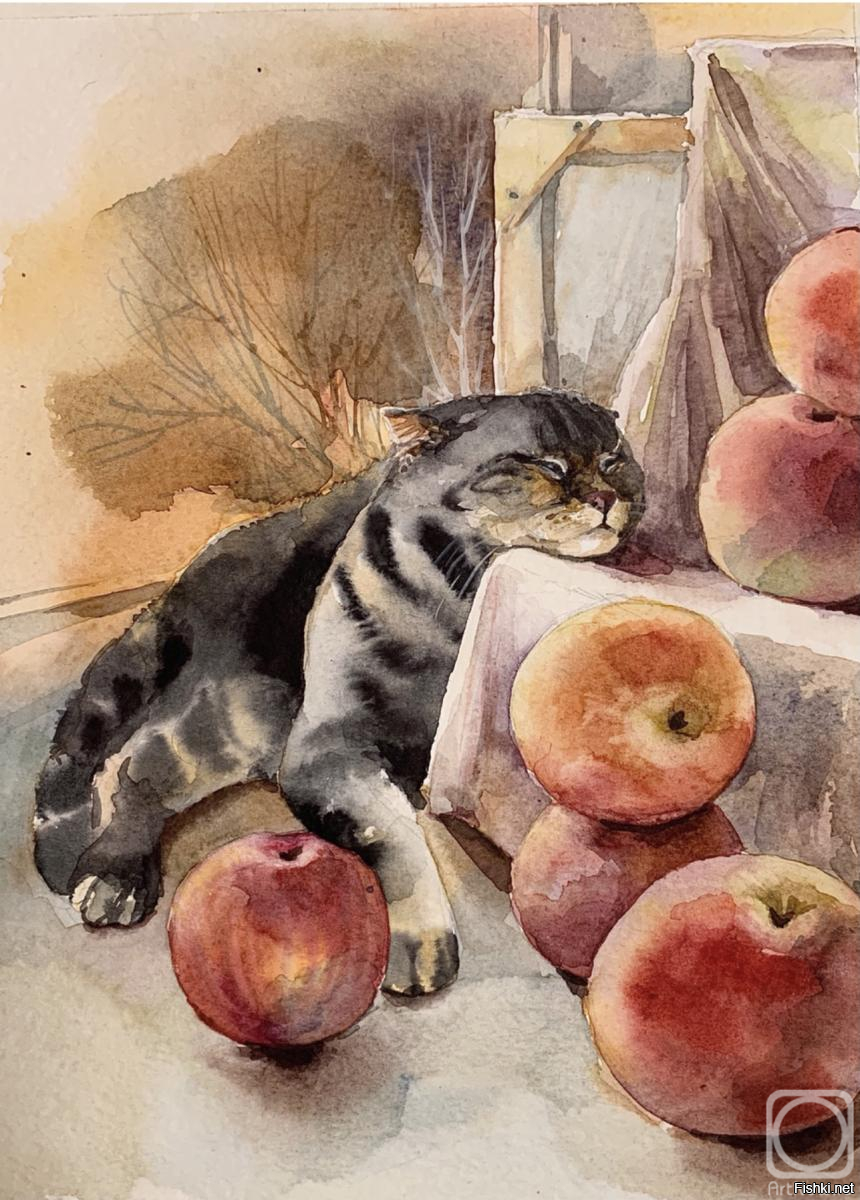 Солянка от 13.09.2025