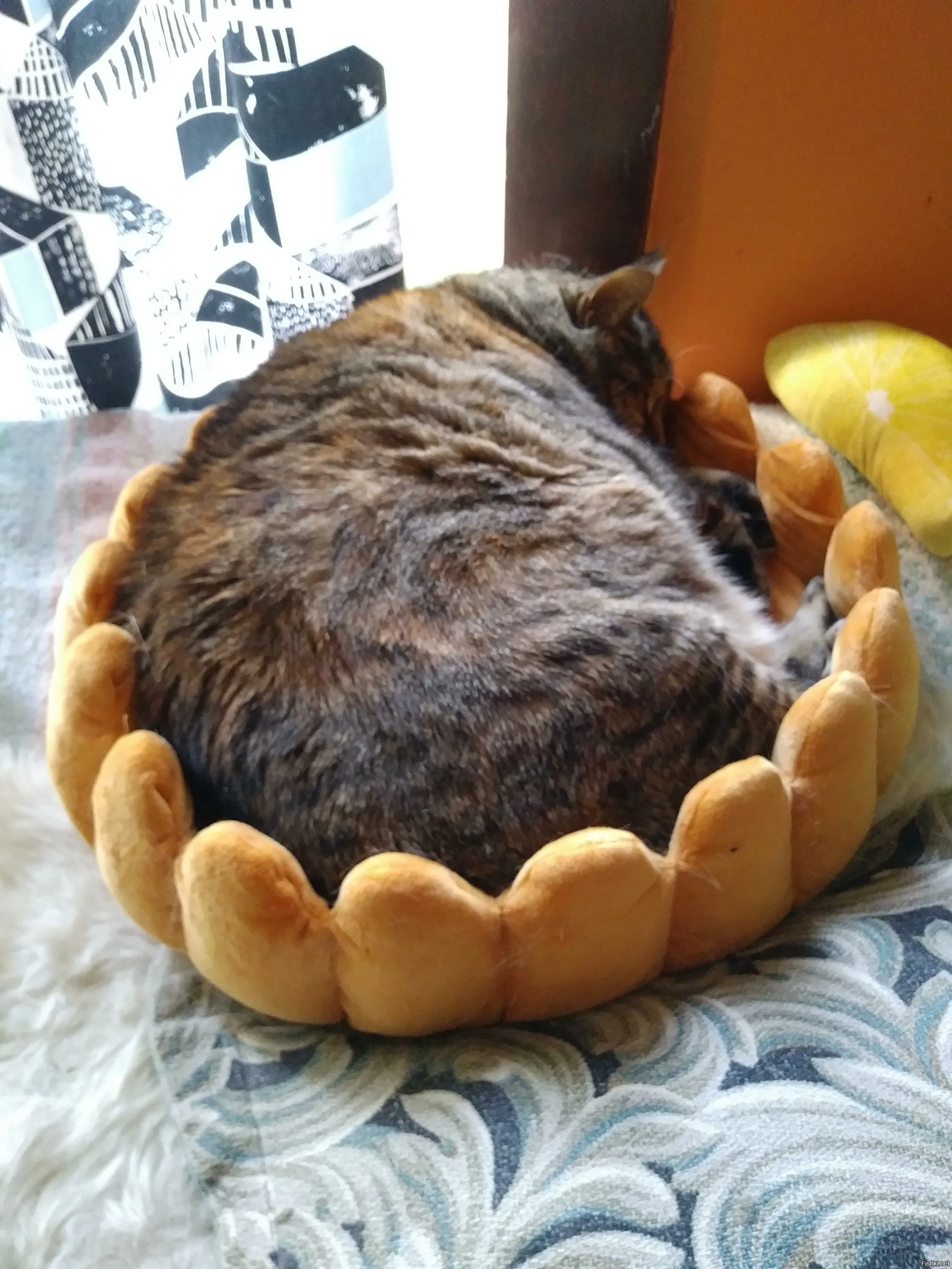 Солянка от 13.09.2025