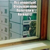 Автору поста!