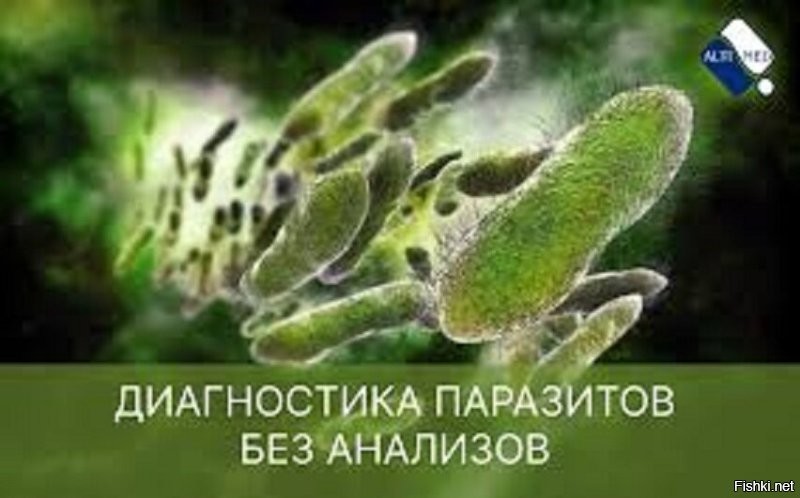 Прохожий защитил девушку от цыгана