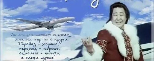 Мужчина накормил голодного оленя: на следующий день тот привел целое стадо
