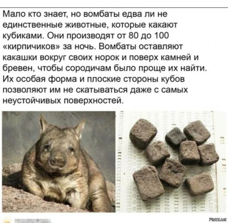 Такая.