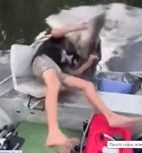 Вот что значит получить харрррошего леща!