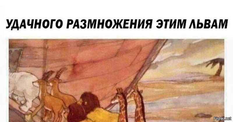 Солянка от 13.09.2025