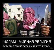 Почему мигранты-мусульмане едут в христианские страны со своим уставом