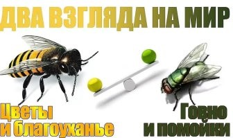 Восьмидесятые