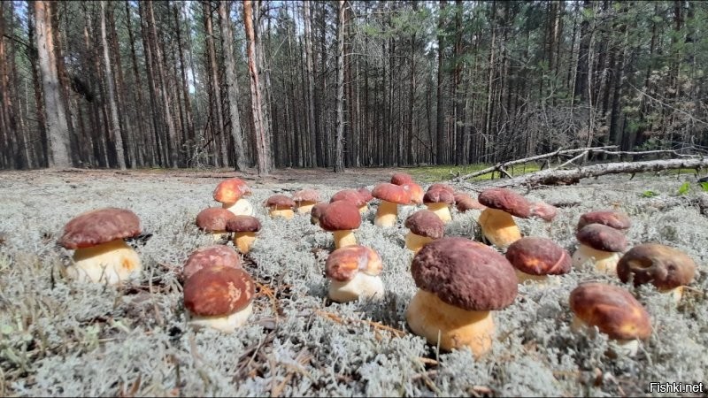 Находка.