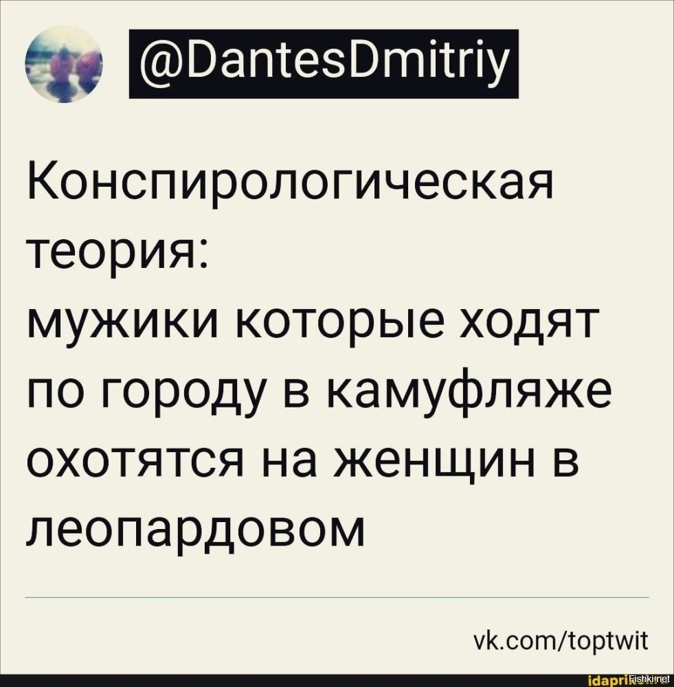Солянка от 14.09.2025