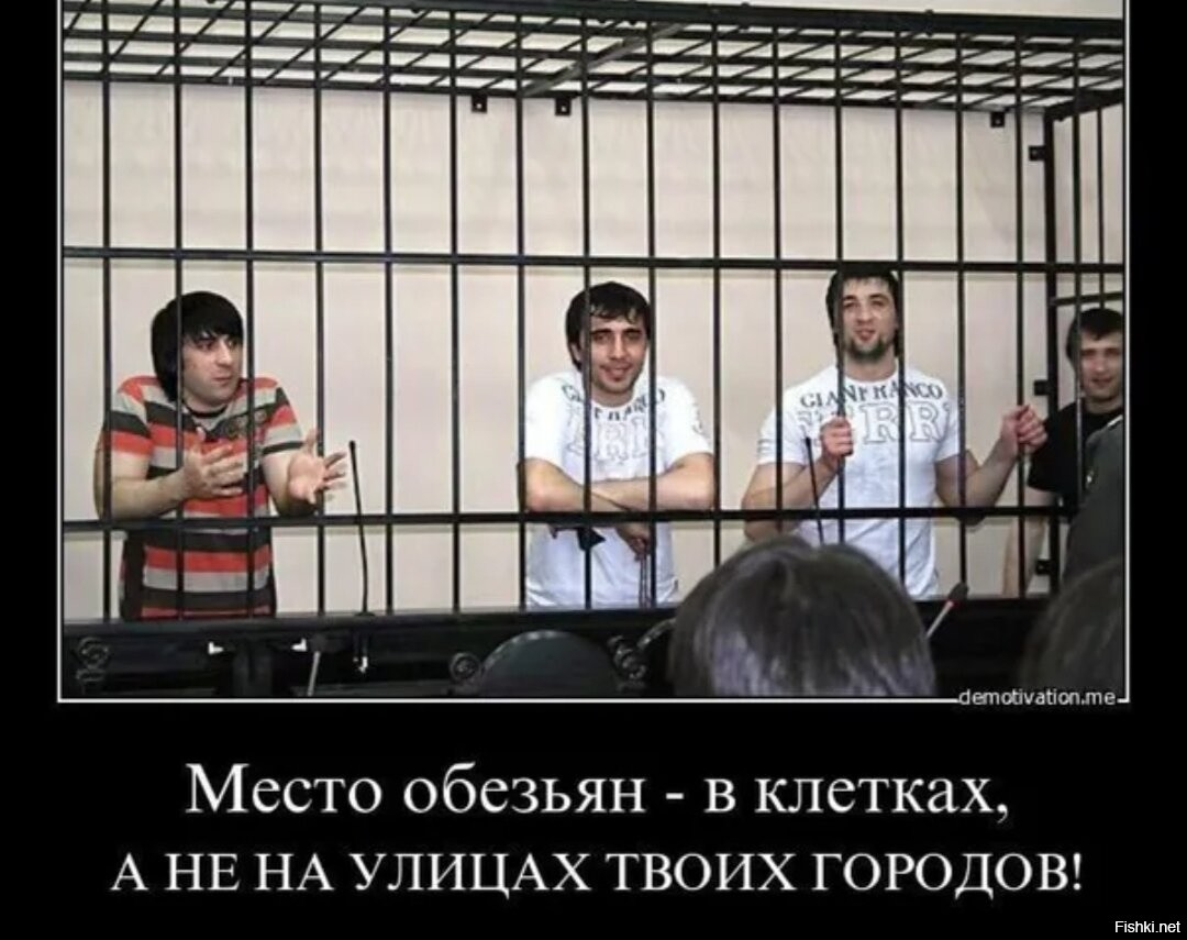 "в итоге сели в клетку" - вот там и оставить. Самое место. И в зоопарке выставлять