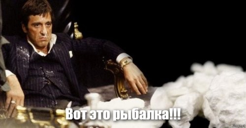 Солянка от 14.09.2025