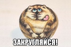 Кот, который умеет закругляться