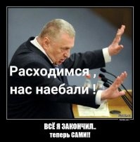 Парень спас похороненную заживо кошку