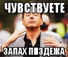 Парень спас похороненную заживо кошку