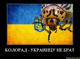 Привет , привет !!!