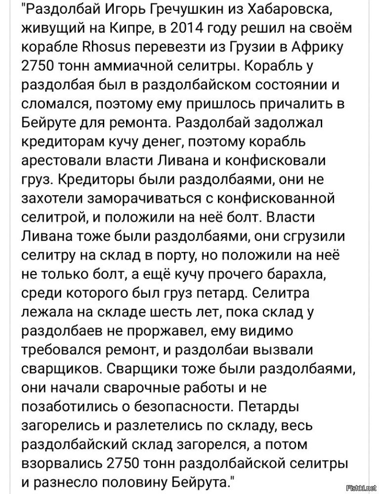 Не он один отличился