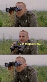 Хищные дюнные сверчки