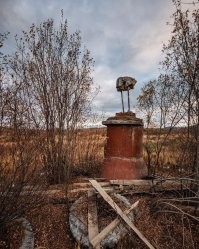 Тихая победа:  20 заброшенных мест, где природа забрала своё