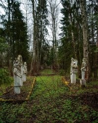 Тихая победа:  20 заброшенных мест, где природа забрала своё