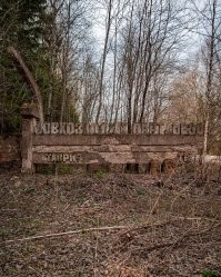 Тихая победа:  20 заброшенных мест, где природа забрала своё