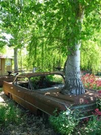 Шутники напоминают водителям о парковке в неположенных местах