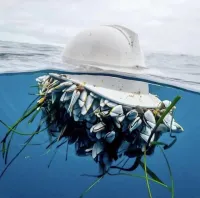 А где начальник от этой каски? Или его моллюски и доедают?...