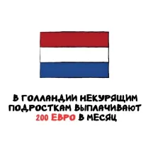 Полнейший бред