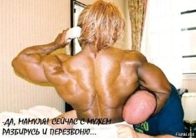 Смешные картинки