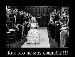 Кошка появилась на свадьбе и затмила даже молодоженов