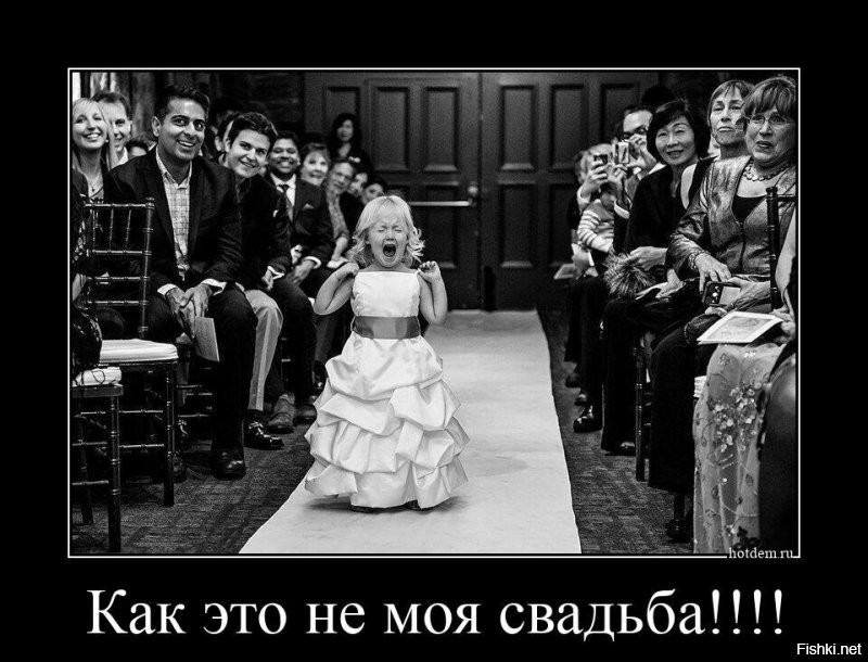 Кошка появилась на свадьбе и затмила даже молодоженов