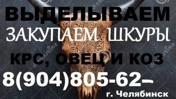 Solaris уходит с российского рынка