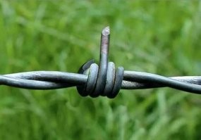 Игровой автомат "Хватайка" с дорогой сумкой, которую невозможно выиграть